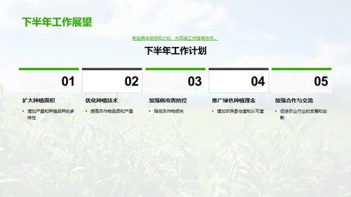 绿色种植进程解析