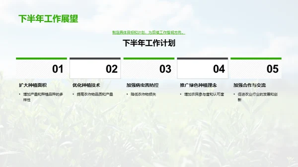 绿色种植进程解析