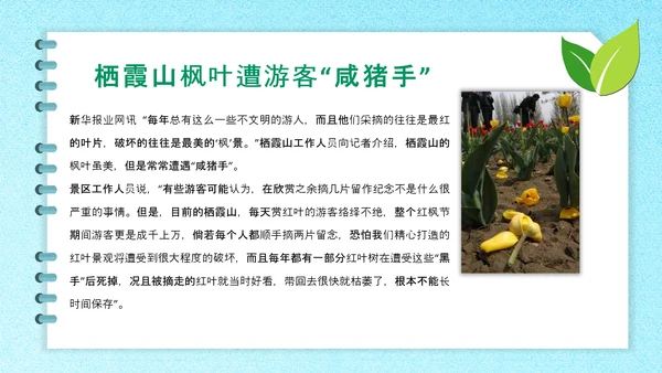 312植树节主题班会ppt课件