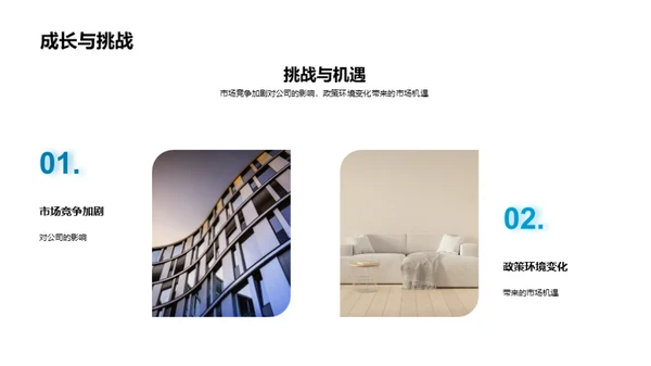 家居业绩与发展解析