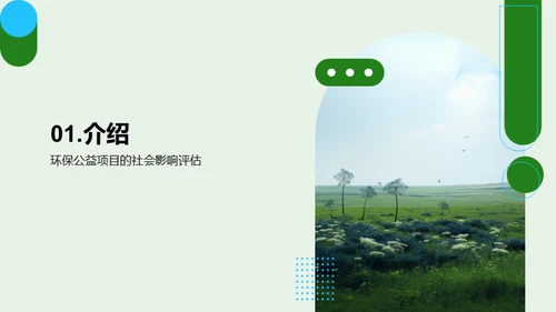 绿色使命：社会影响评估