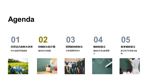 树木种植与未来