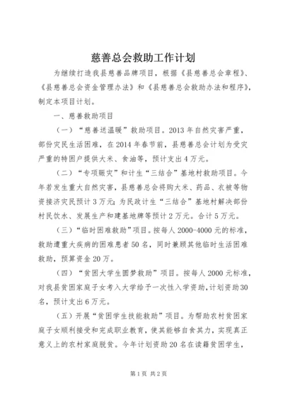 慈善总会救助工作计划.docx