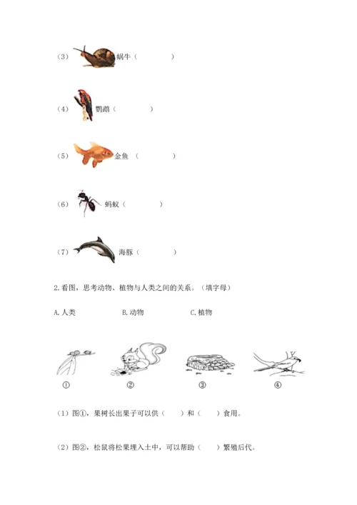 教科版二年级上册科学期末测试卷【综合题】.docx