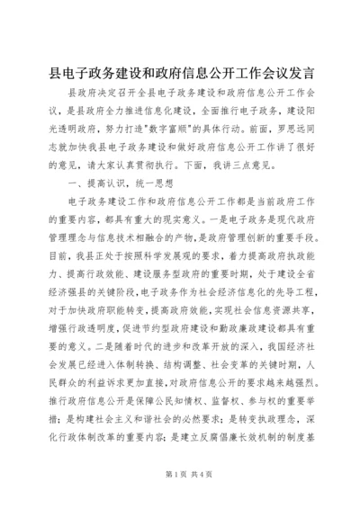 县电子政务建设和政府信息公开工作会议发言.docx