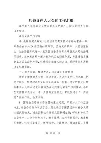 县领导在人大会的工作汇报.docx