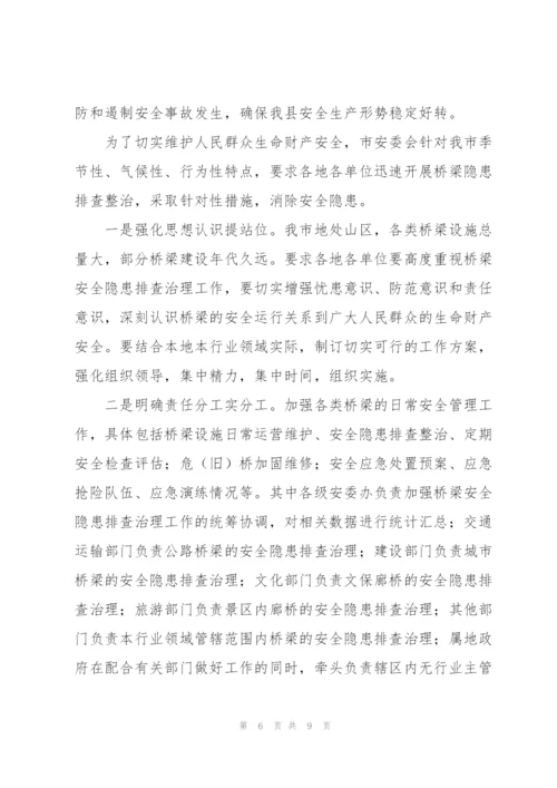 桥梁安全隐患大排查大整治行动工作总结范文(3篇).docx