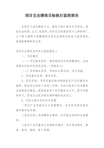 项目支出绩效目标执行监控报告.docx