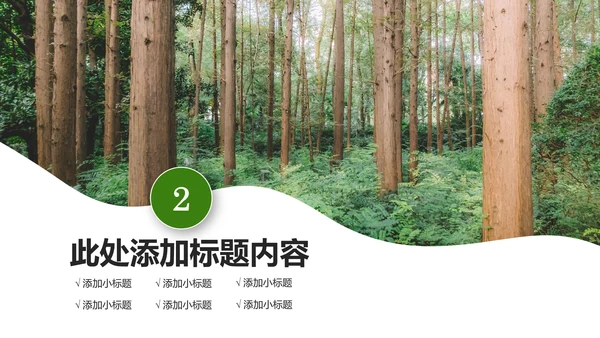 原始森林湿地植树造林森林环保PPT模板
