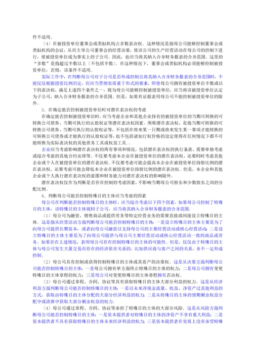 合并财务报表详细概述.docx