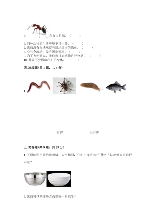 教科版一年级下册科学期末测试卷及答案（基础+提升）.docx