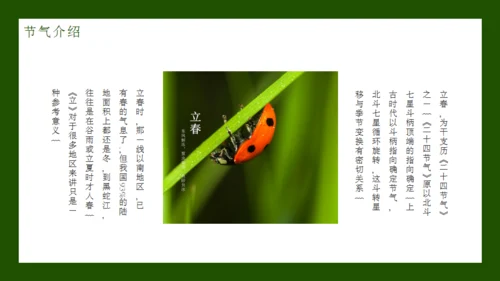 立春节气通用PPT模板