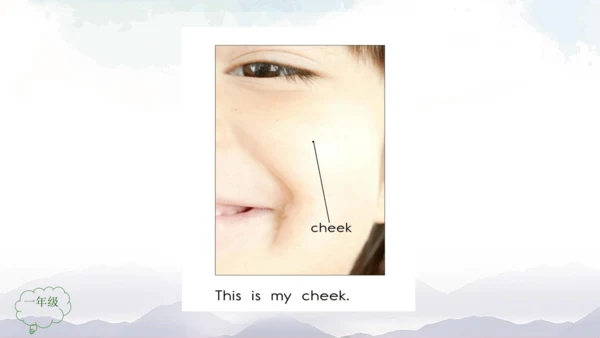 Unit 2 Face Lesson 3 课件共32张PPT)