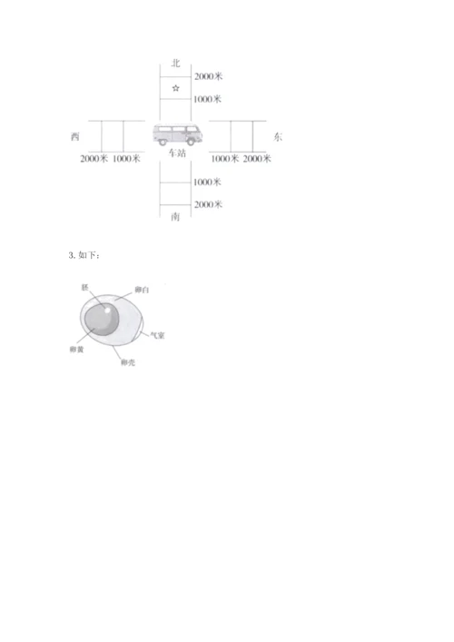 教科版科学三年级下册 期末测试卷附答案（巩固）.docx