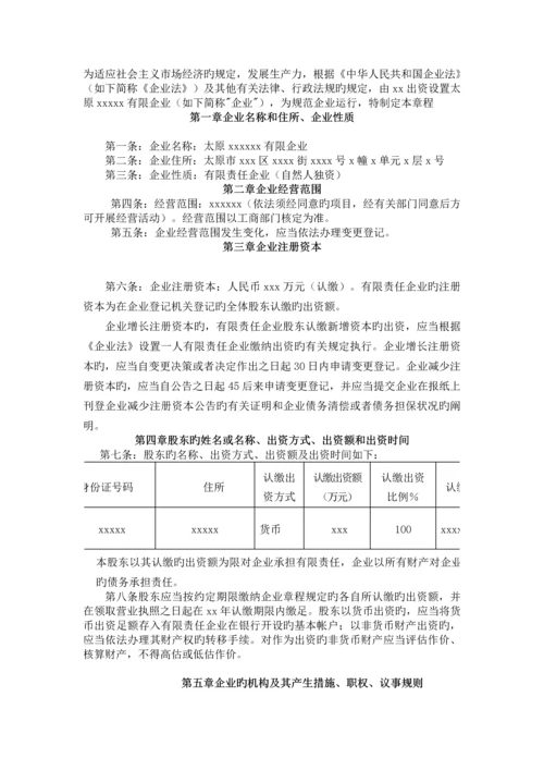 自然人独资一人有限公司股东会决议及章程.docx