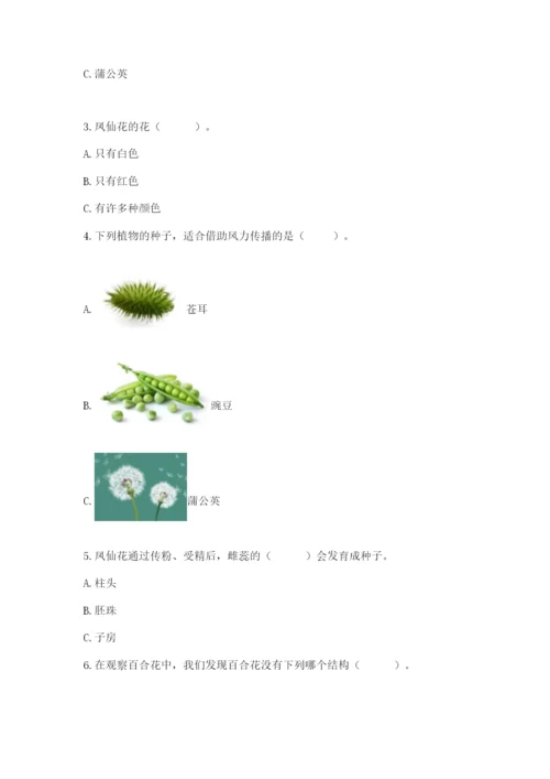 教科版四年级下册科学第一单元《植物的生长变化》测试卷（模拟题）.docx