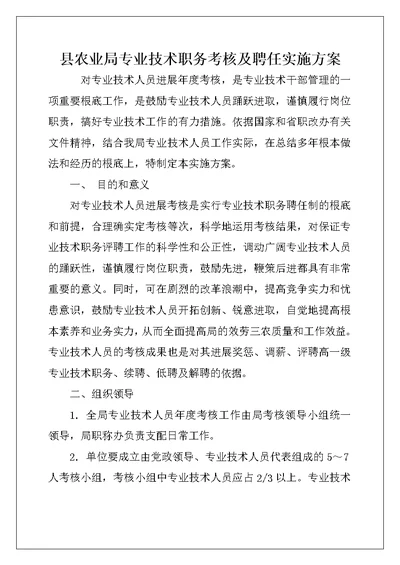 县农业局专业技术职务考核及聘任实施方案