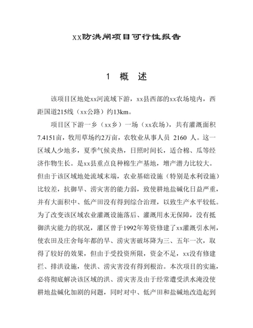 防洪闸项目可行性研究报告.docx