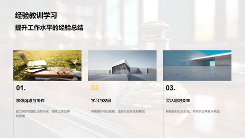 法律领域年度总结