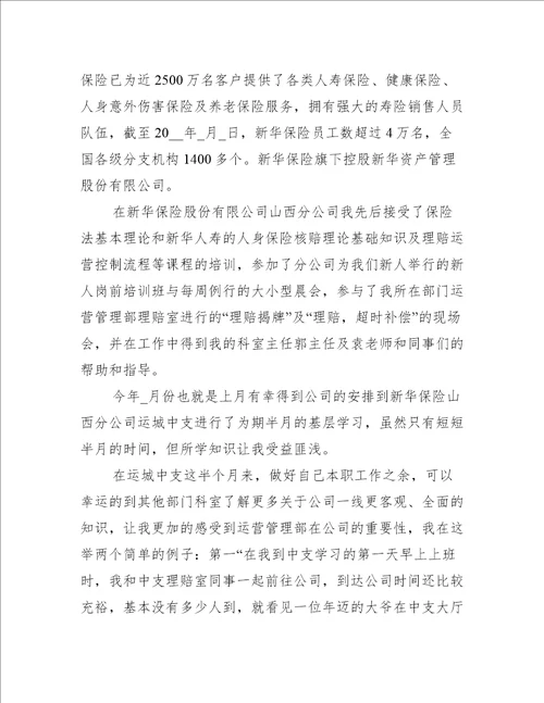 实习生个人工作总结最新版