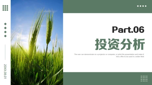 农业项目商业计划书通用PPT模板