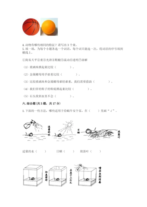 教科版一年级下册科学期末测试卷含答案（新）.docx