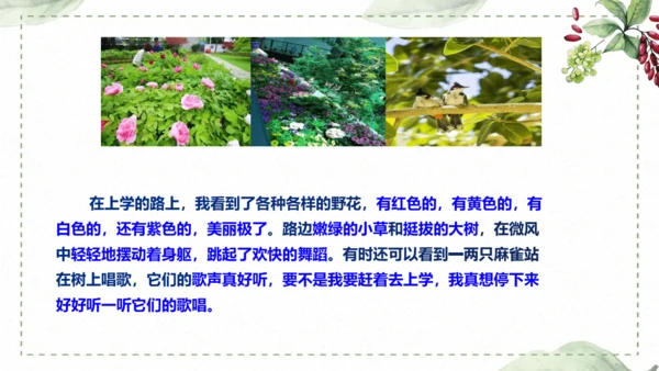 5 《铺满巴掌的水泥道》仿写指导课件
