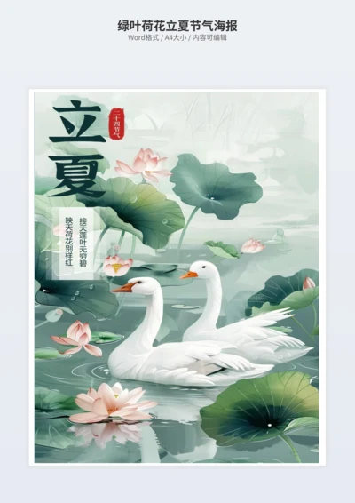 绿叶荷花立夏节气海报