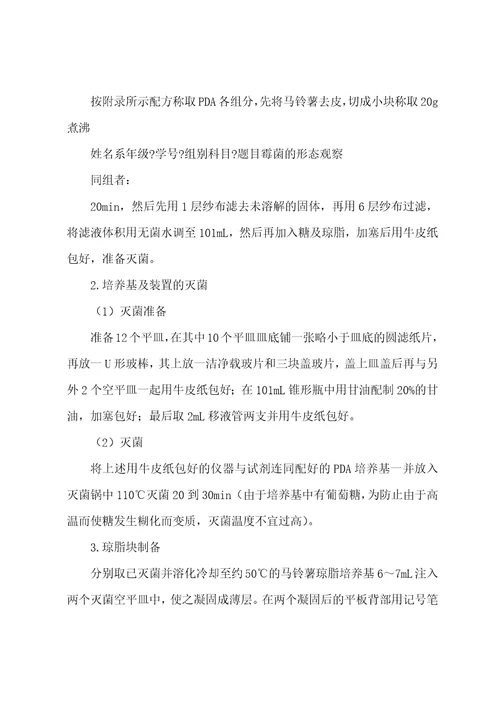 霉菌实验报告