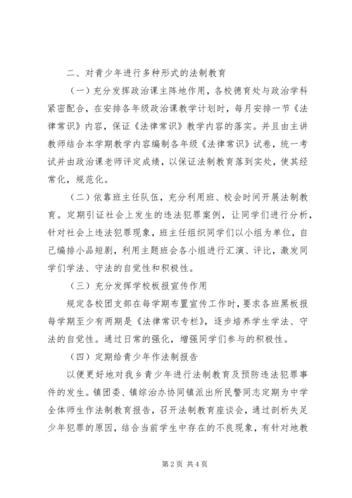 乡镇预防青少年违法犯罪工作计划.docx