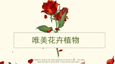 红色玫瑰唯美花卉ppt模板