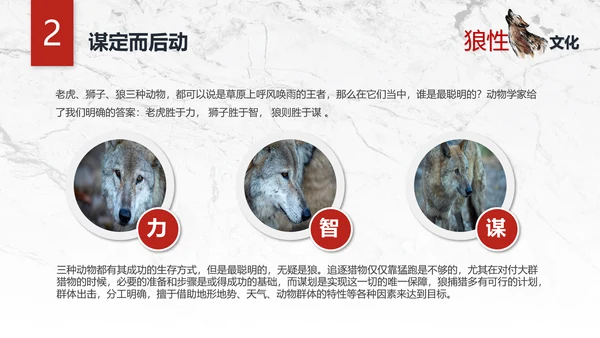 团队企业文化狼性文化员工培训PPT