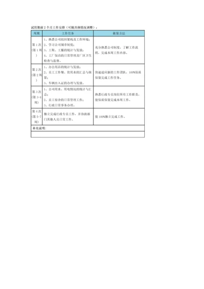试用期工作安排.docx