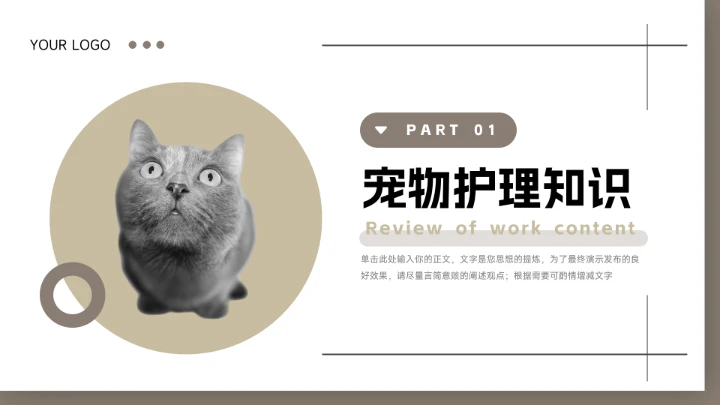 黄色系干净宠物健康护理介绍PPT模板