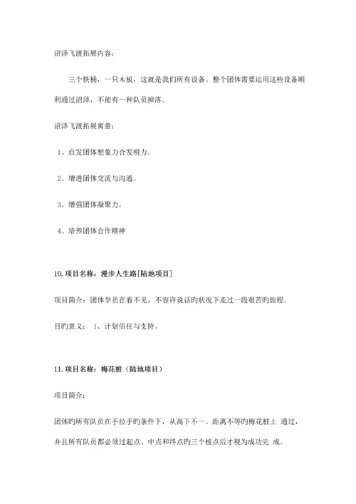 拓展活动项目.docx