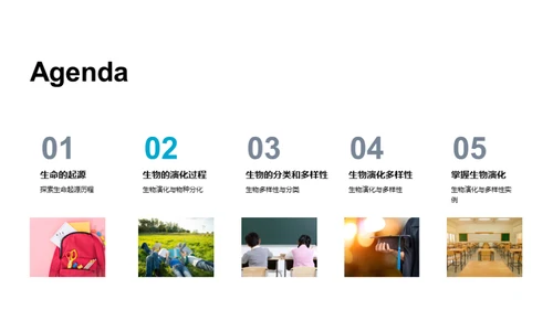生物演化与多样性