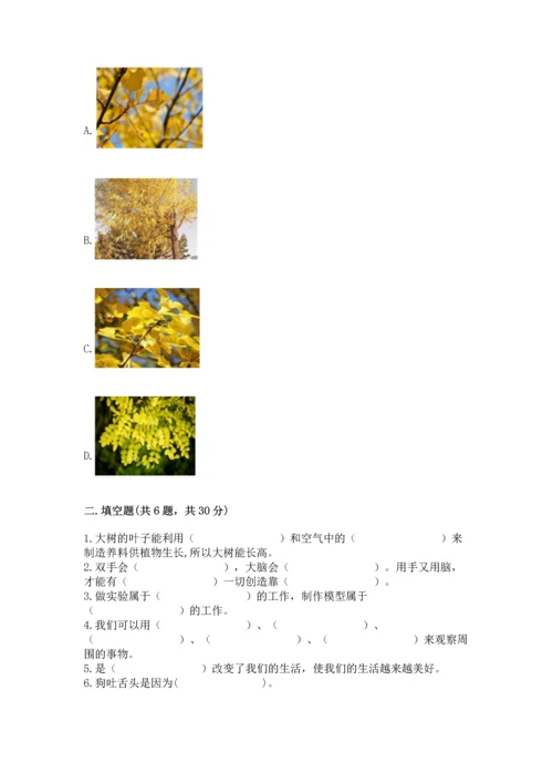 苏教版一年级上册科学期末测试卷及完整答案一套.docx