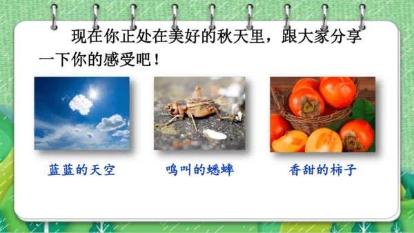 【同步课件】  6.秋天的雨   课件（2课时）