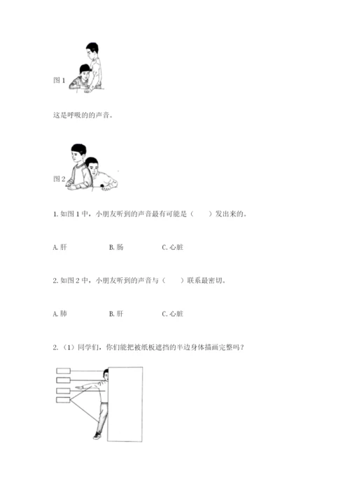 教科版二年级下册科学期末测试卷带答案（培优b卷）.docx