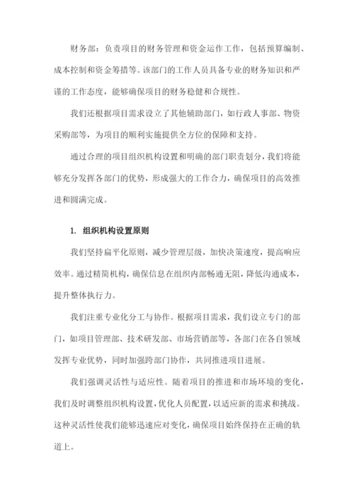 项目组织机构及人员配备.docx