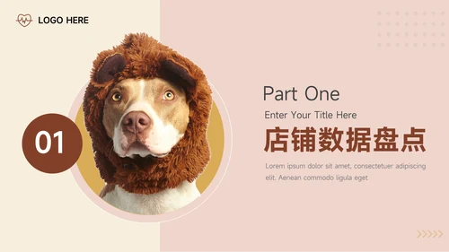 红黄宠物电商活动复盘分析PPT模板