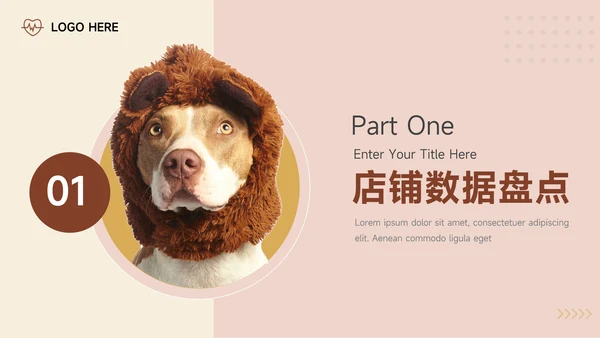 红黄宠物电商活动复盘分析PPT模板