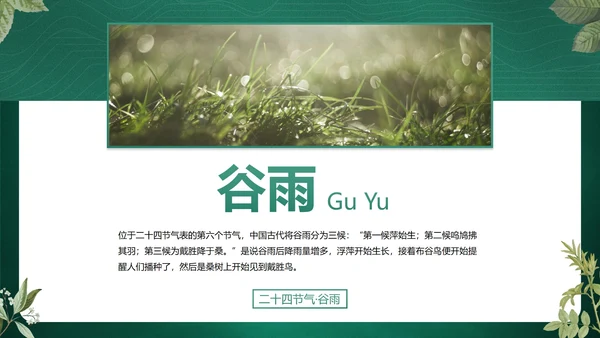 绿色花卉古风传统二十四节气科普主题教育PPT模板