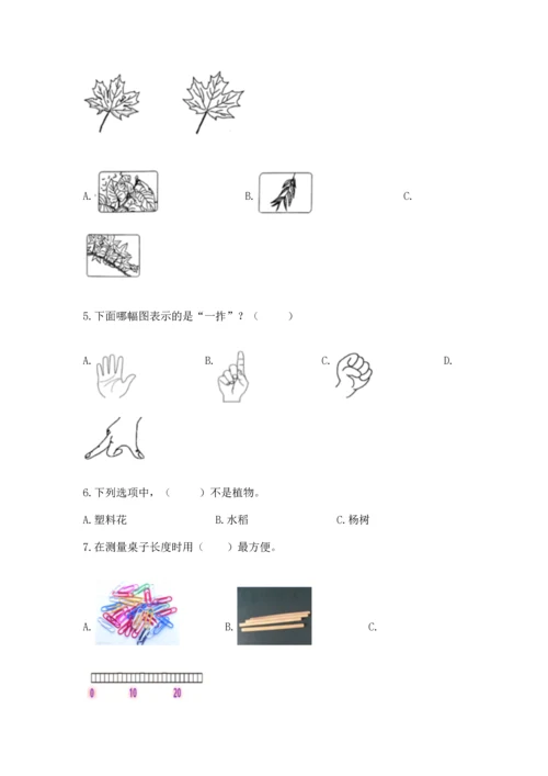 教科版小学一年级上册科学期末测试卷（名师系列）.docx