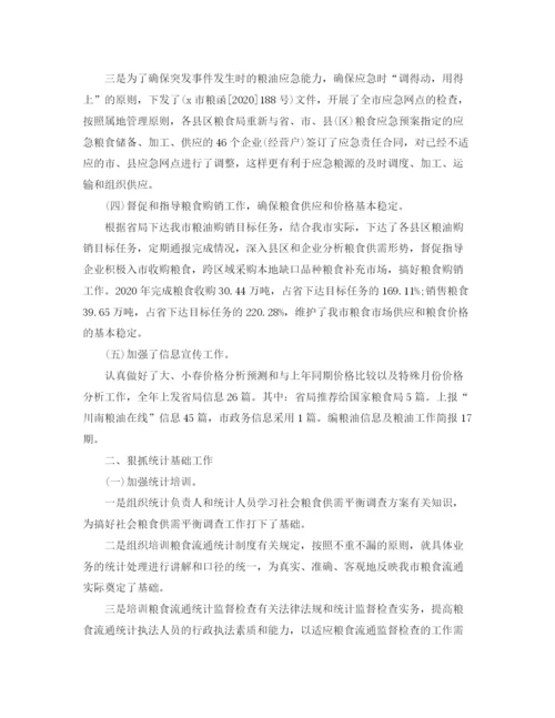 精编之统计员年度工作总结范文.docx