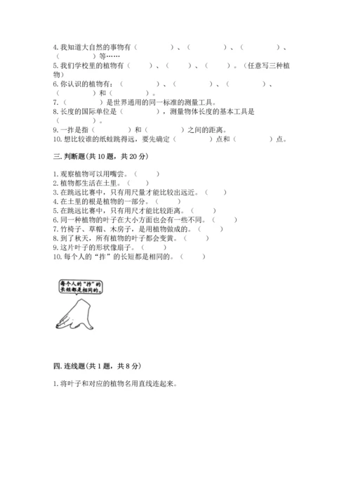 教科版一年级上册科学期末测试卷带答案（新）.docx