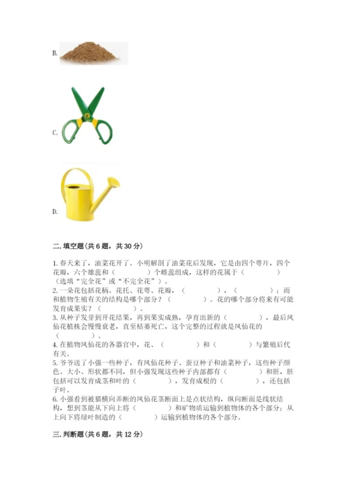 教科版科学四年级下册第一单元《植物的生长变化》测试卷（word）.docx