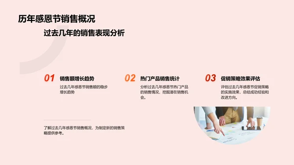 感恩节销售策略报告
