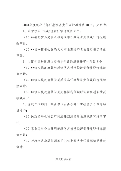 经济责任审计工作计划.docx