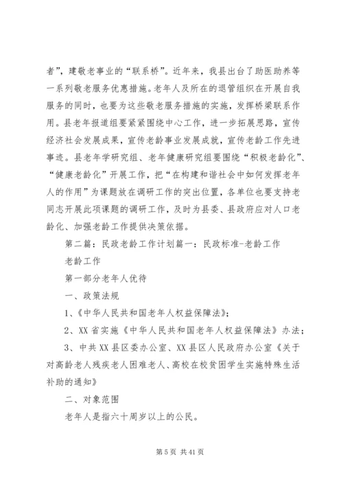 民政老龄工作计划.docx